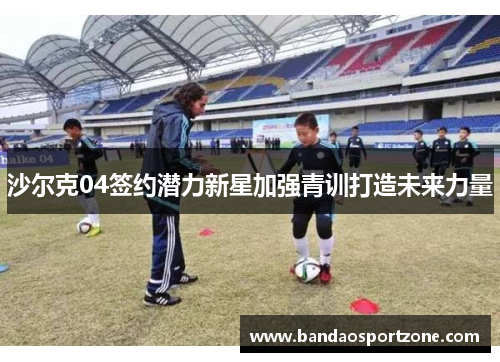 沙尔克04签约潜力新星加强青训打造未来力量